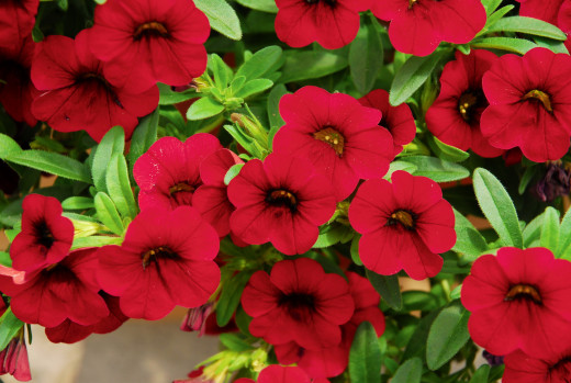 863501 (a): :2700x1807